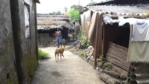 Traditional village huts in rural India, IndiaStock Footage