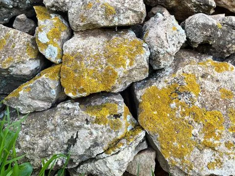 Traditional Wall Stock Photos