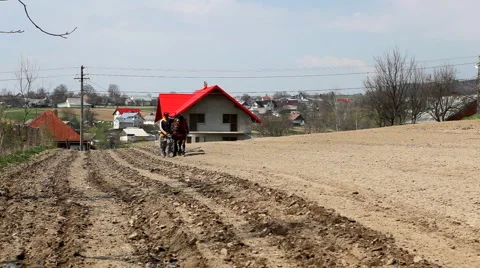 Traditional Way of Sowing Corn on a Corn Field Hill, Old Style Hard Labor, Horse Stockbeeldmateriaal 4158509