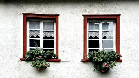 Traditional windows with red frames and blooming pink geraniums on white wall 库存照片