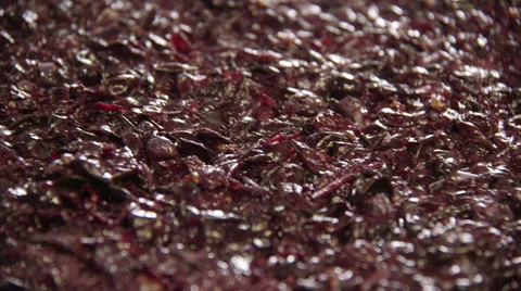 Traditional wine production Stock Footage 34332448