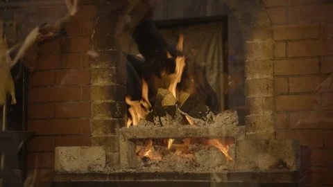 Traditional Wood-Fired Oven Roasting Poultry in Beijing Street Food Setting Stock Footage 345856473