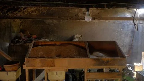 Traditional Workshop with Grain Sorting Machine in Rustic Setting Stock Photos