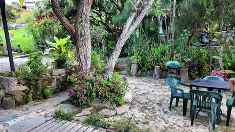 Traditional woven hammock in a lush rustic garden patio for relaxation Stock Footage 332626016