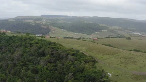 Xhosa men singing, Stock Video