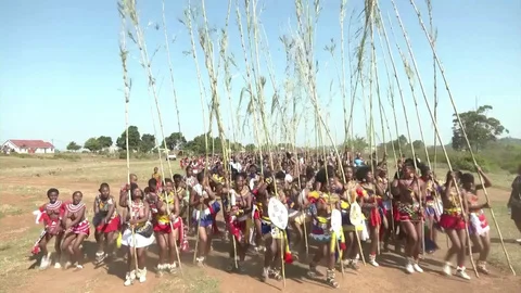 Participants of the Reed Dance Ceremony  | Stock Video