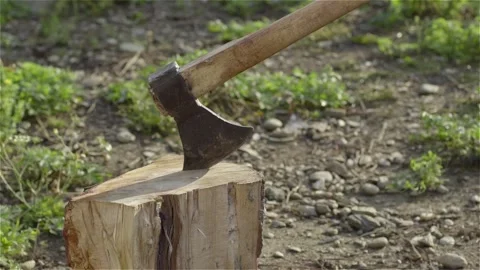 Traditionally cutting a chicken with an axe Romanian Tradition Video stock 133578855