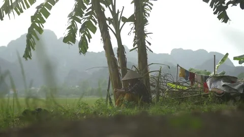 Traditionally Dressed Indonesia Stock Footage 220171512