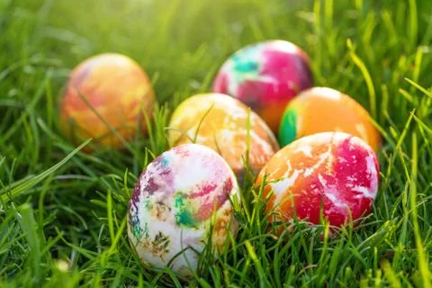 Traditionally painted Easter eggs hidden in grass. Stock Photos