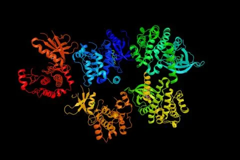TRAF2 and NCK-interacting protein kinase, an enzyme characterized by an N-t.. Illustration