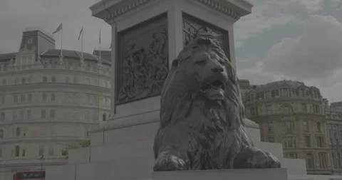 Trafalgar Square Lion Statue Video stock 248624174