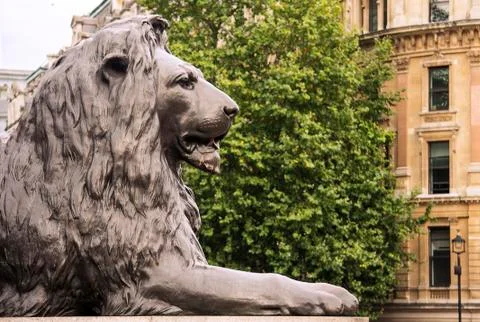 Trafalgar square Foto stock