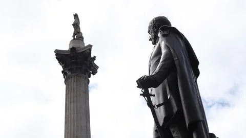 Trafalgar Square Statues in London Stock Footage 166360588