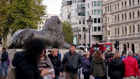 Trafalgar Square view with Lyon statue and people passing by Stock Footage 85404385