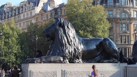 Trafalgur Square Lion, London Stock Footage 96223345