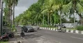 Traffic and palm tree main road scenery with vehicles and motorbikes in Bali 4k or 4k+ Resolution