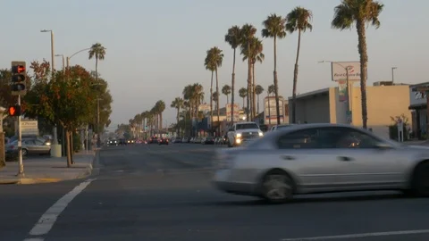 Traffic And Palm Trees Stock Footage 123452365