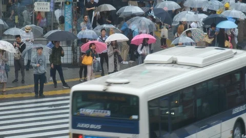 Traffic and Pedestrian In Shibuya During A Rainy Day Stock Footage 110885953