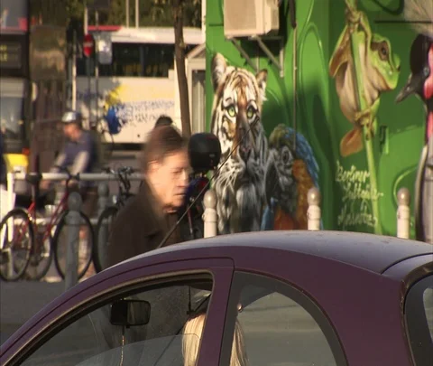 Traffic and pedestrians pass in front of zoo mural. Stock Footage 86743033
