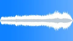 Traffic and tourists at Buckingham Palace Sound Effect