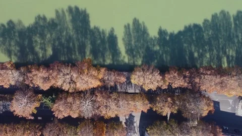 Traffic and tree shadows by the river Video stock 168554657