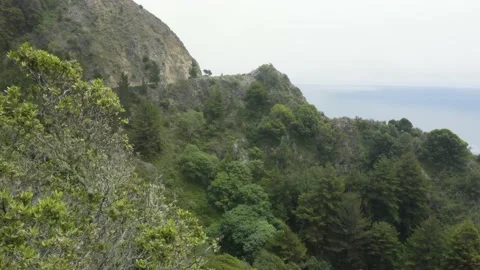 Traffic and trees off a cliff in the valley Stock Footage 155460248