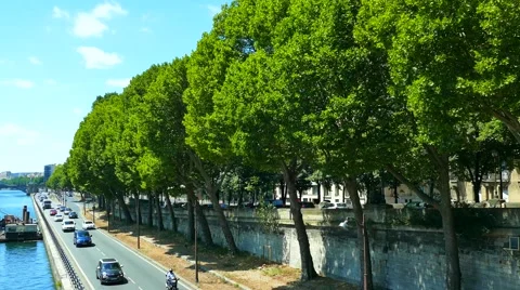 Traffic and trees at Pont de Bir-Hakeim, Paris, France Stock Footage 63329124