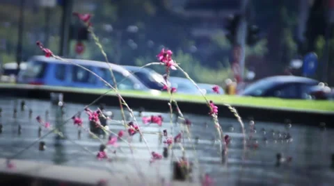 Traffic and water Stock Footage 32149332