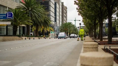 Traffic Between Trees and Palm Trees on the Streets of Mexico City Stock Photos