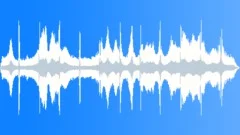 Traffic With Birds 01 Sound Effect