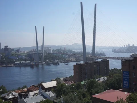 Traffic on the bridge Vídeo Stock 79086447