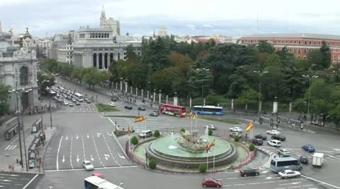 Traffic Circle 動画素材 12364890