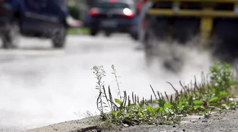 Traffic Comes To A Stop Due To Road Construction Stock Footage 50007904