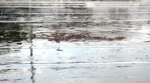 Traffic crosses puddle Stock Footage 8838498