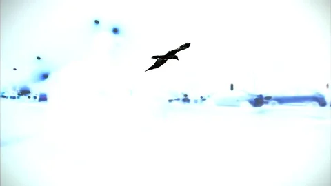 Traffic in delhi backwards psychedelic sequence Video stock 102782937