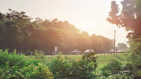 Traffic flow on the freeway Stock Photos