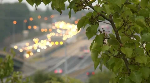 Traffic Stock Footage 11430336