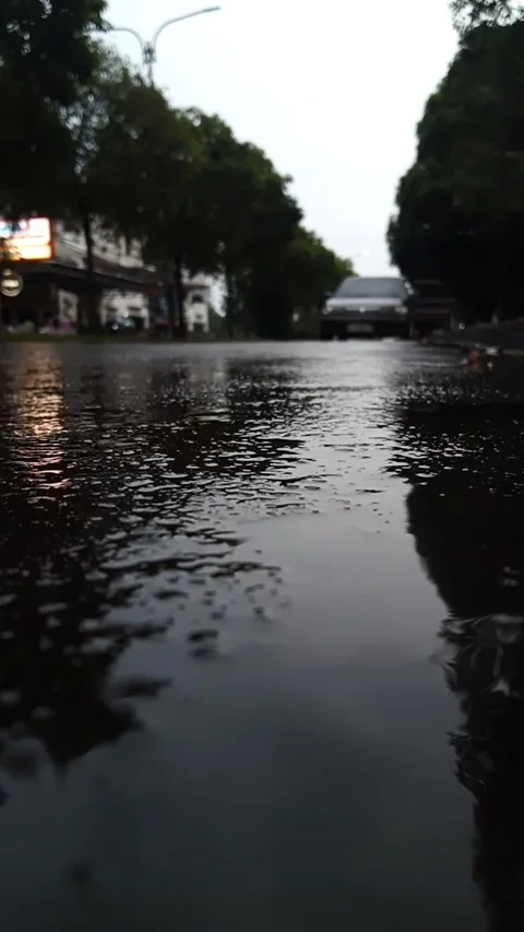 Traffic Stock Footage 270259833