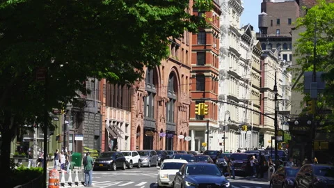 Traffic goes through under the fresh green trees in SOHO Vidéo 138242686