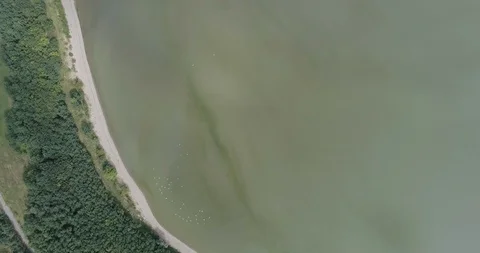 Traffic on the highway. Video stock 94123668