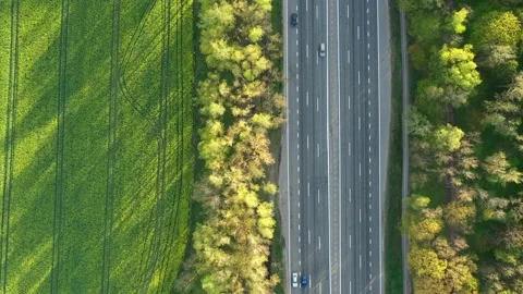 Traffic on the highway through deep forest aerial view. Stock Footage 161150898