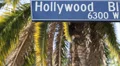 Traffic Hollywood Street Sign Pedestrians Crosswalk Palm Trees Holidays USA LA HD Footage