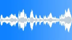 Traffic Jam, Car Horns, Honking, LoudSound Effect