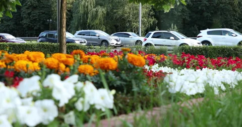 Traffic jam in Kiev during the day 스톡 동영상 134364654