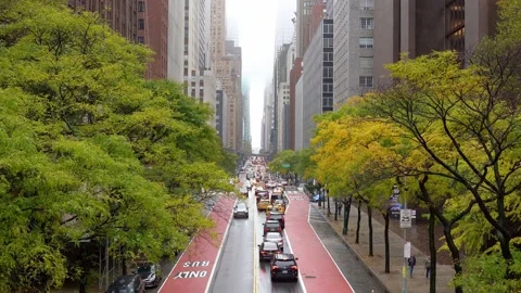 Traffic Jam in Manhattan on road surrounded by Trees and Chrysler Building Stock Footage 147002652