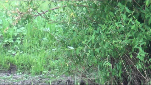 Traffic on the lake 動画素材 25619898