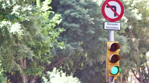 Traffic Light 4K UHD Video stock 51671899