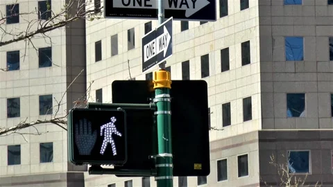 Traffic light and one way sign in Manhattan, New York. Video stock 145501216