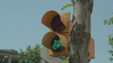 Traffic light for bikes, close up, Barcelona, Spain Stock Footage 64231951
