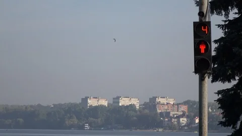 Traffic light on blue sky background Video stock 119102788